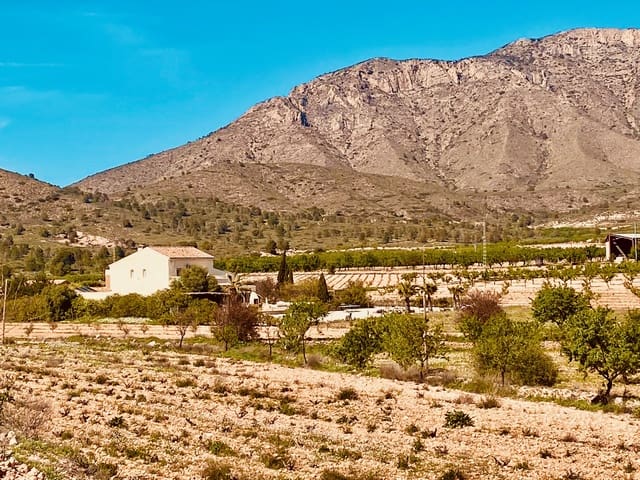 Chalet de 5 habitaciones en Barbarroja, Orihuela en venta con piscina garaje - 475.000 € (Ref: 9713608)