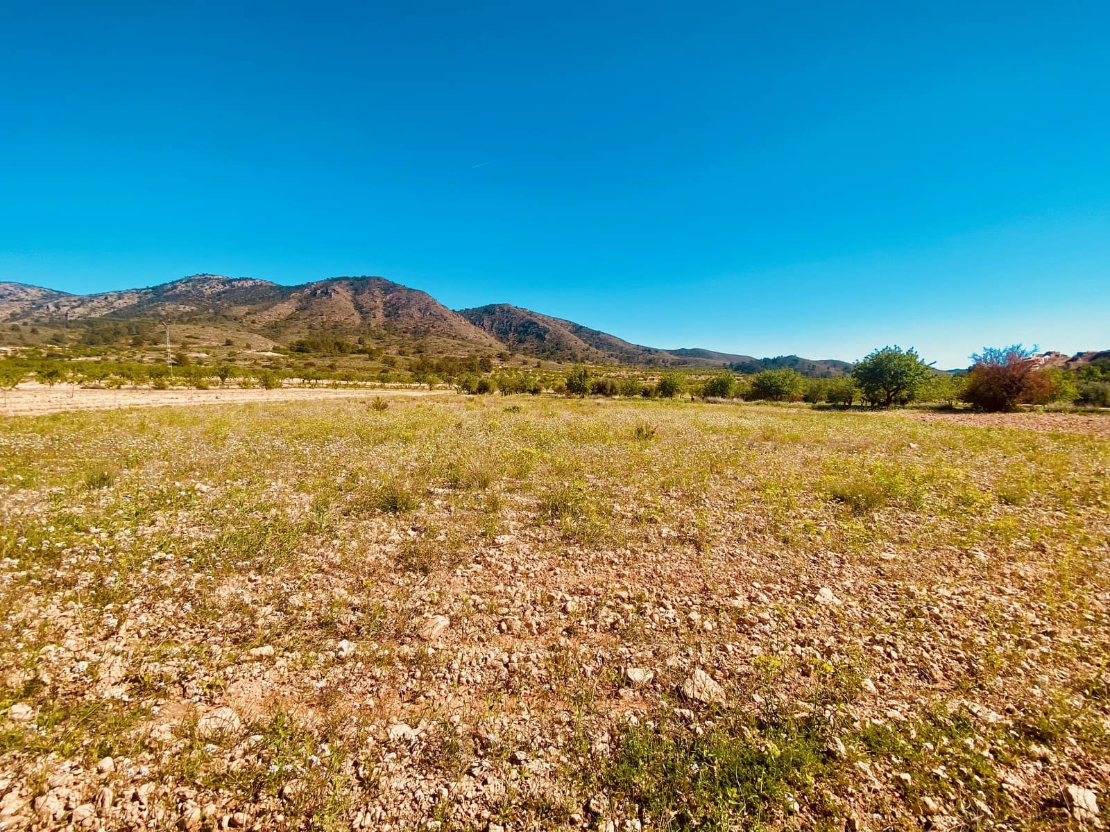 5 Zimmer Villa zu verkaufen in Barbarroja mit Pool Garage - 475.000 € (Ref: 9713608)