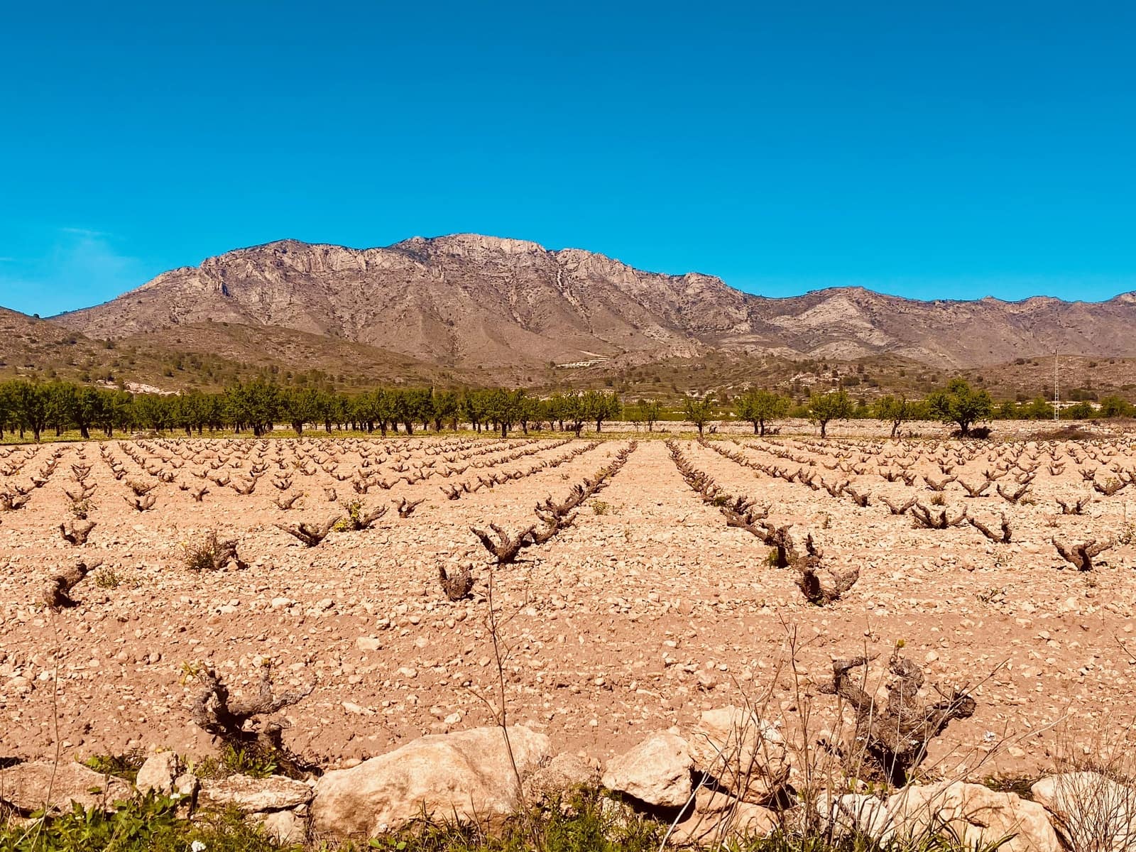 5 Zimmer Villa zu verkaufen in Barbarroja mit Pool Garage - 475.000 € (Ref: 9713608)