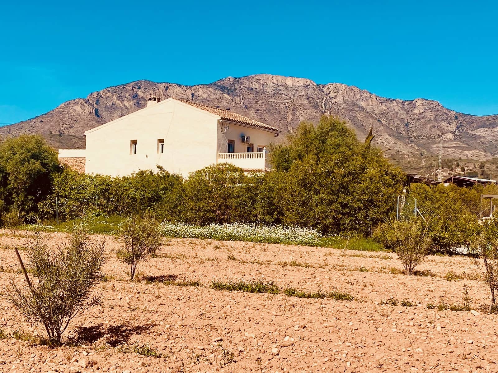 5 Zimmer Villa zu verkaufen in Barbarroja mit Pool Garage - 475.000 € (Ref: 9713608)