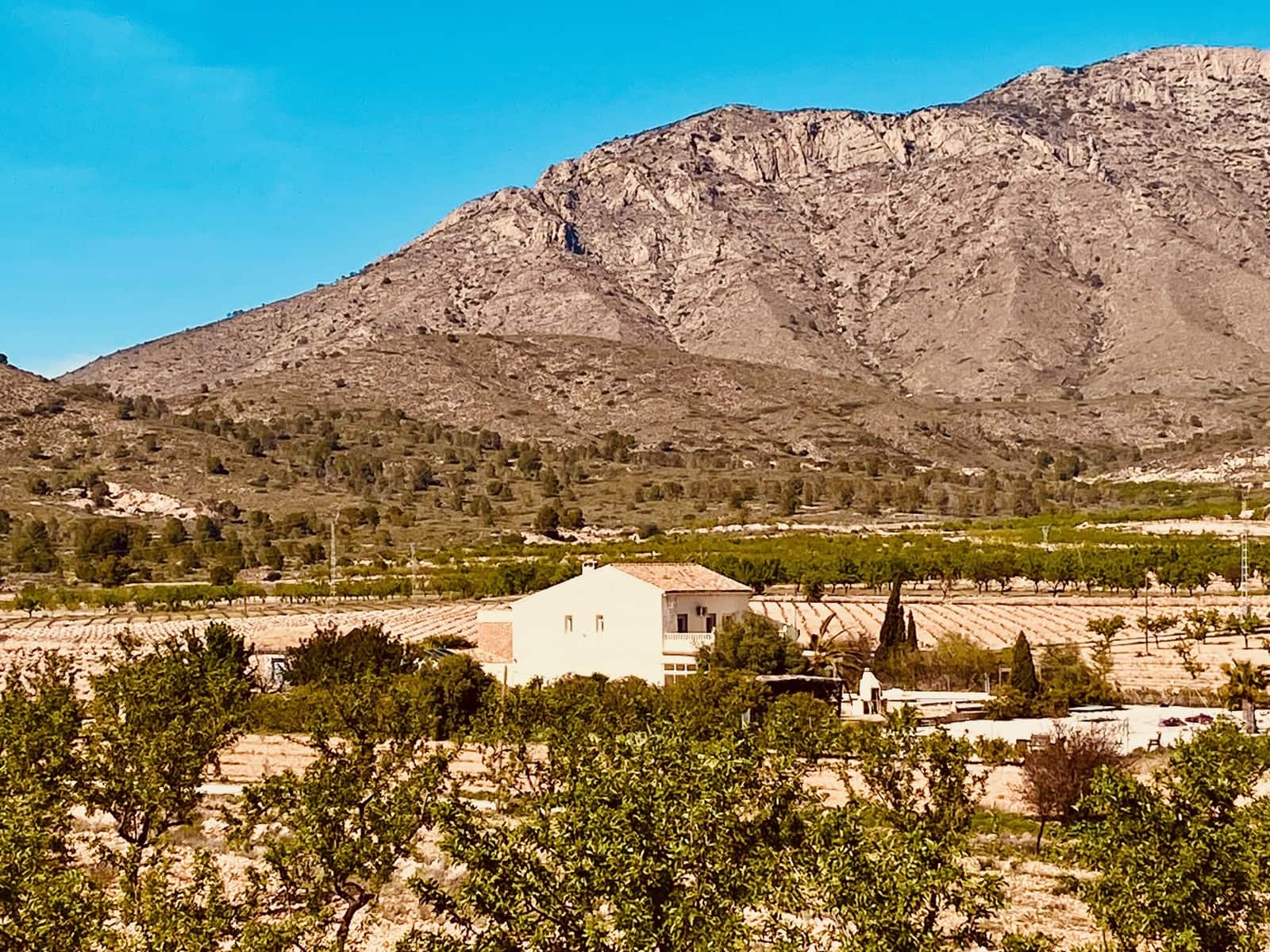 5 Zimmer Villa zu verkaufen in Barbarroja mit Pool Garage - 475.000 € (Ref: 9713608)