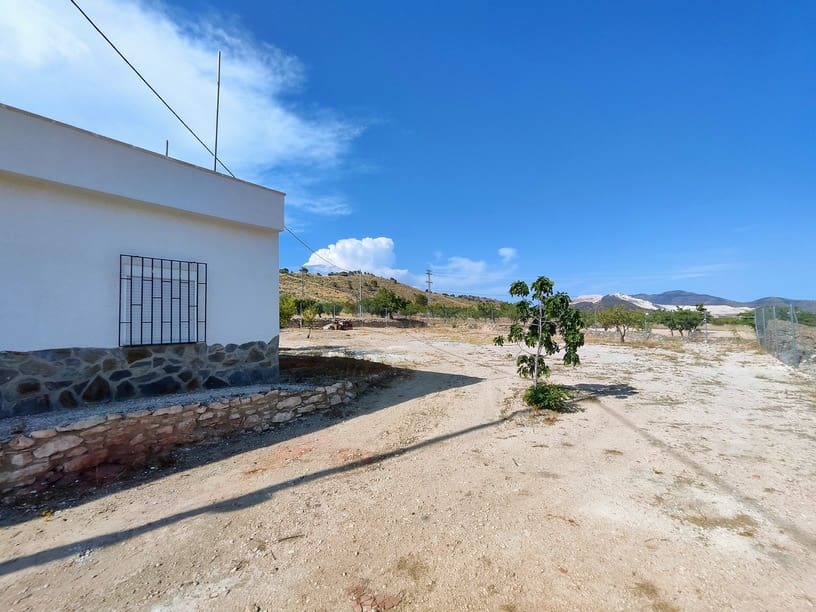 4 sypialnia Dom na sprzedaż w Pinoso - 220 000 € (Ref: 9733946)