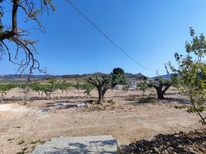 4 sypialnia Dom na sprzedaż w Pinoso - 220 000 € (Ref: 9733946)