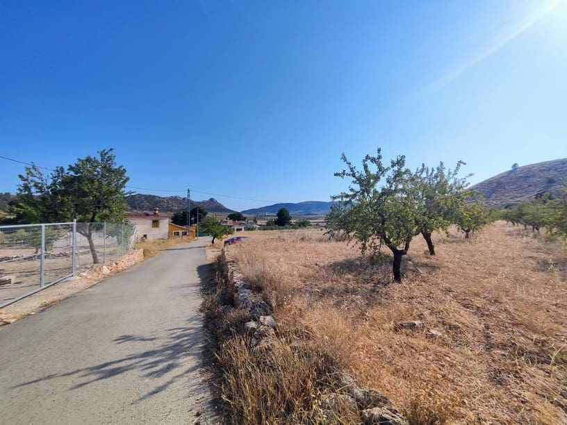 4 sypialnia Dom na sprzedaż w Pinoso - 220 000 € (Ref: 9733946)