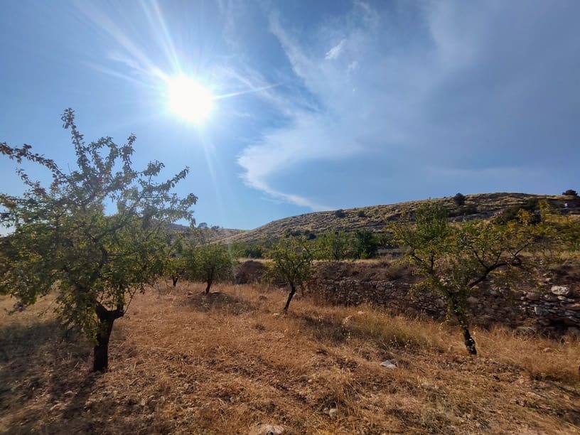 4 sypialnia Dom na sprzedaż w Pinoso - 220 000 € (Ref: 9733946)