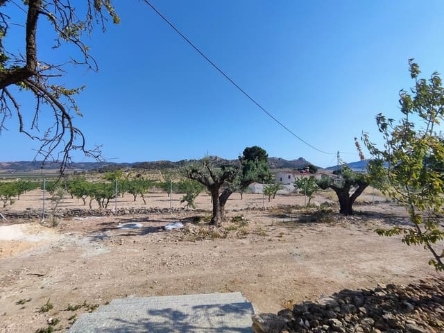 4 sypialnia Dom na sprzedaż w Pinoso - 220 000 € (Ref: 9733946)