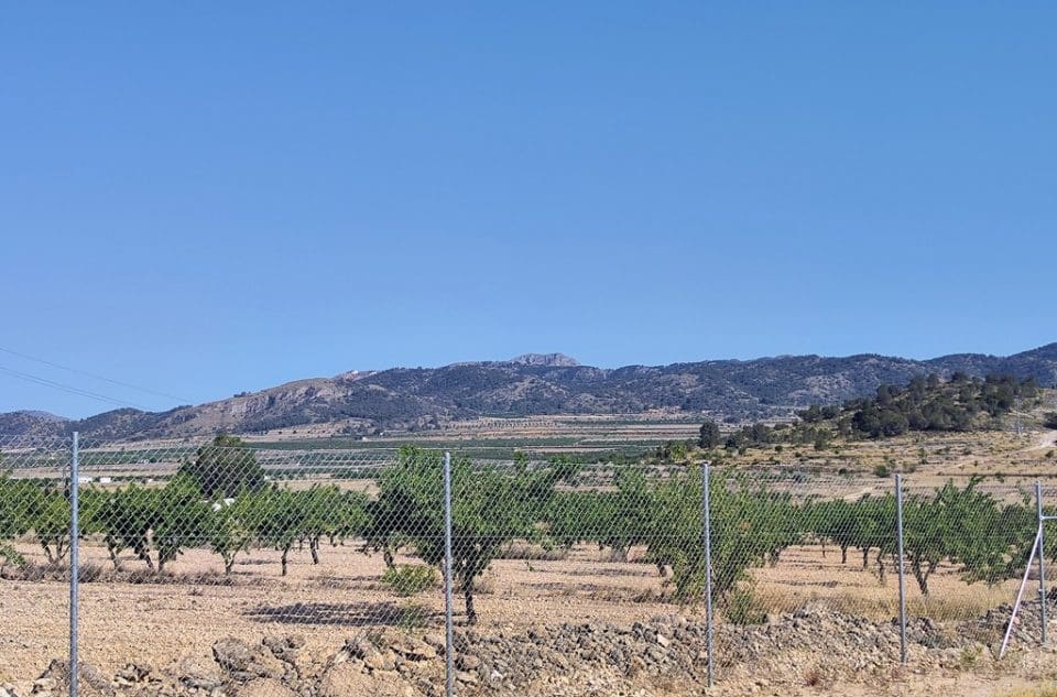 4 sypialnia Dom na sprzedaż w Pinoso - 220 000 € (Ref: 9733946)