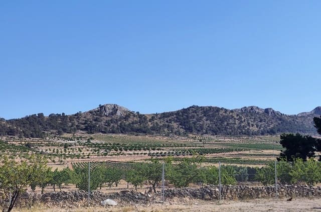 4 sypialnia Dom na sprzedaż w Pinoso - 220 000 € (Ref: 9733946)