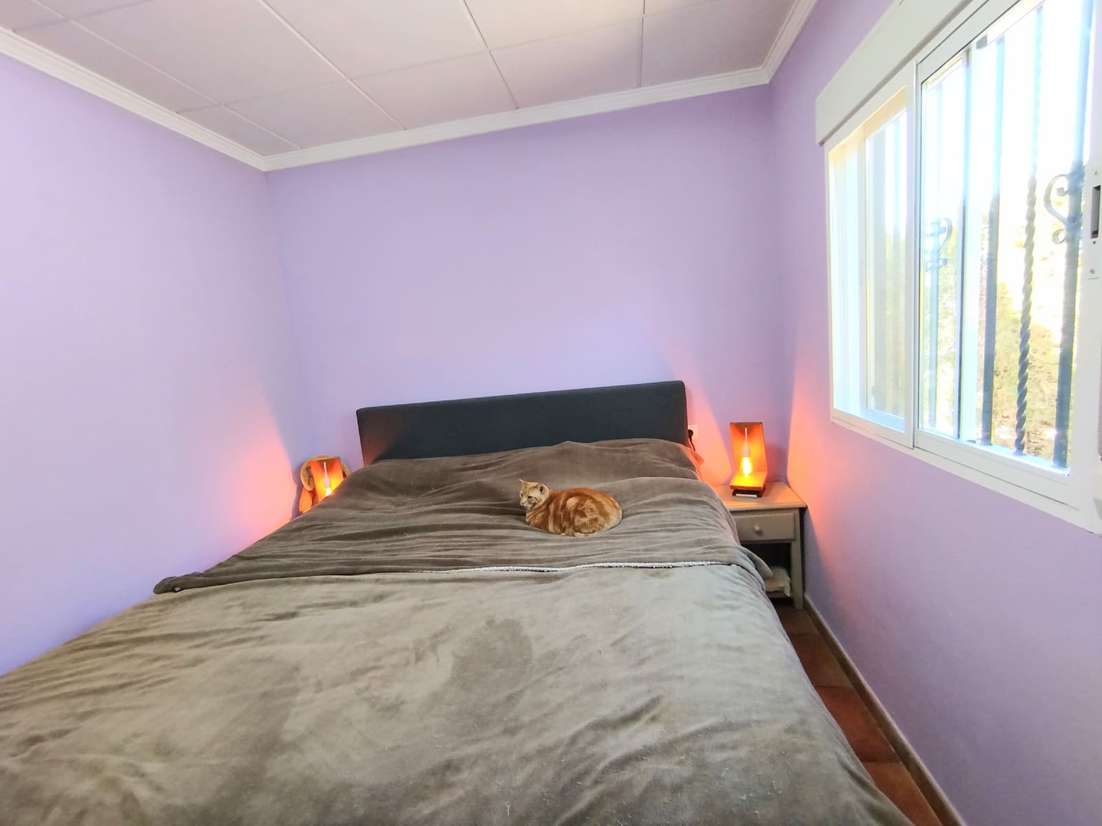 Finca/Hus på landet till salu i Caudete med garage - 169 995 € (Ref: 9789515)