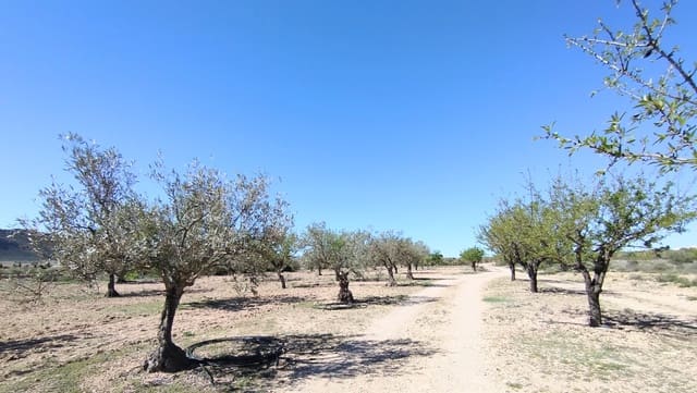 Finca/Casa di Campagna in vendita in Caudete con garage - 169.995 € (Rif: 9789515)