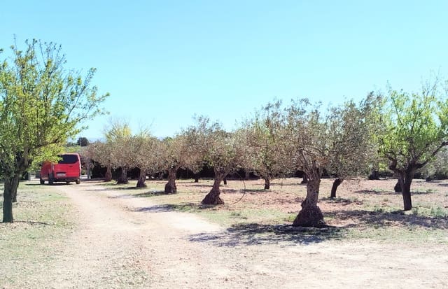 Finca/Casa di Campagna in vendita in Caudete con garage - 169.995 € (Rif: 9789515)