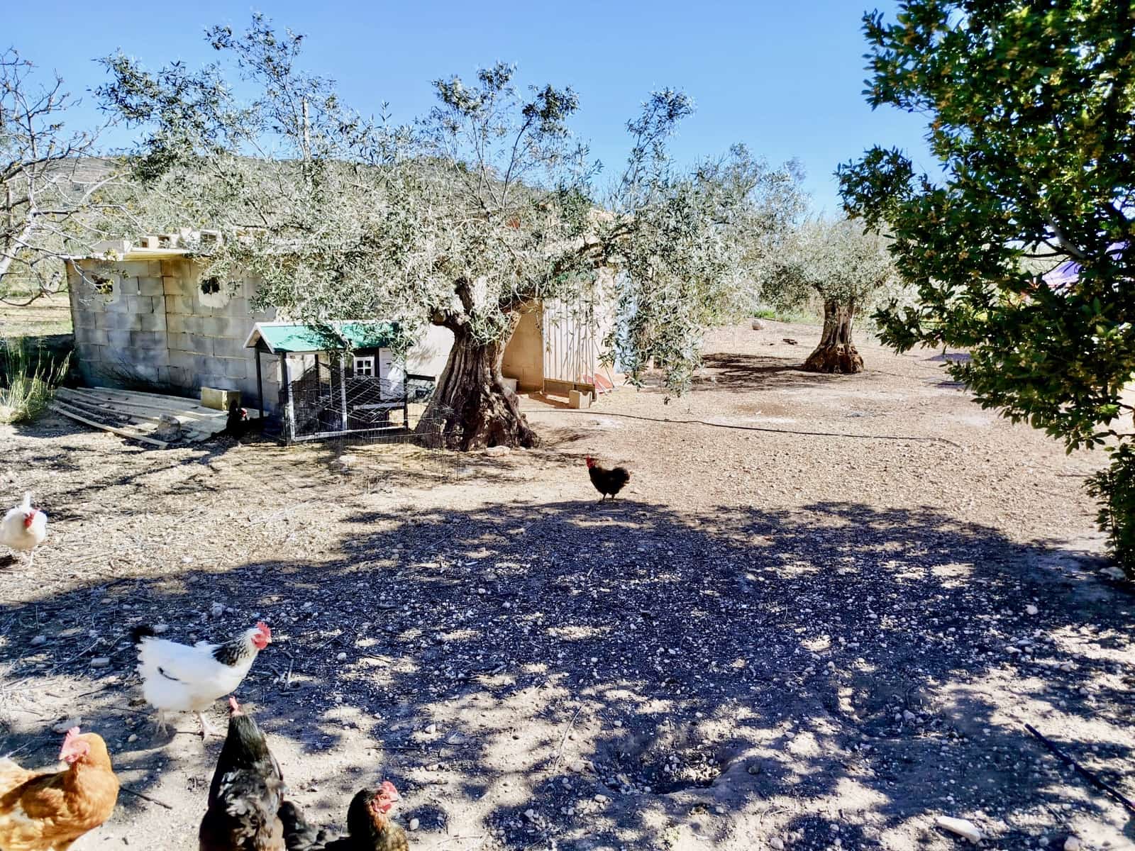 Finca/Hus på landet till salu i Caudete med garage - 169 995 € (Ref: 9789515)