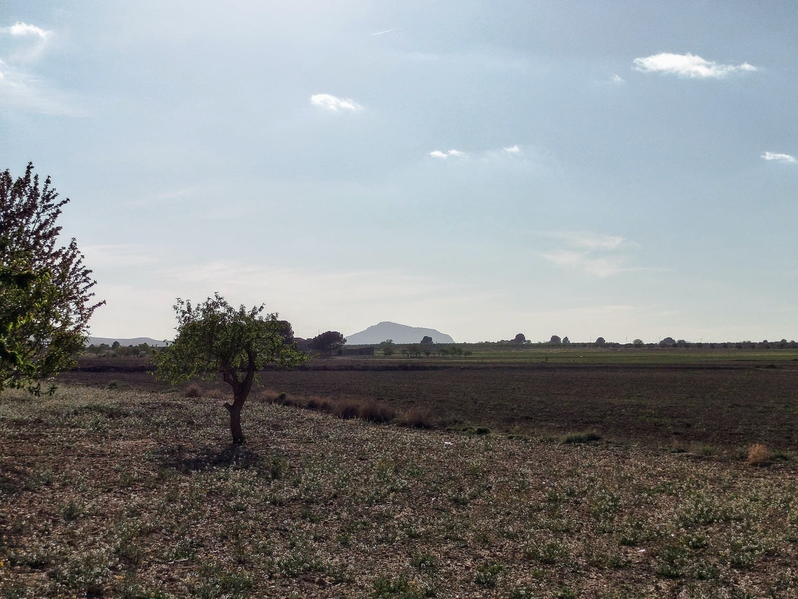 3 soveværelse Finca/Landehus til salg i Yecla med swimmingpool garage - € 170.000 (Ref: 9795940)