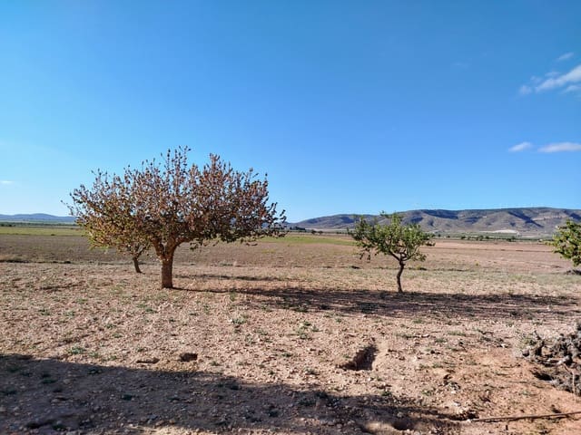 3 soveværelse Finca/Landehus til salg i Yecla med swimmingpool garage - € 170.000 (Ref: 9795940)