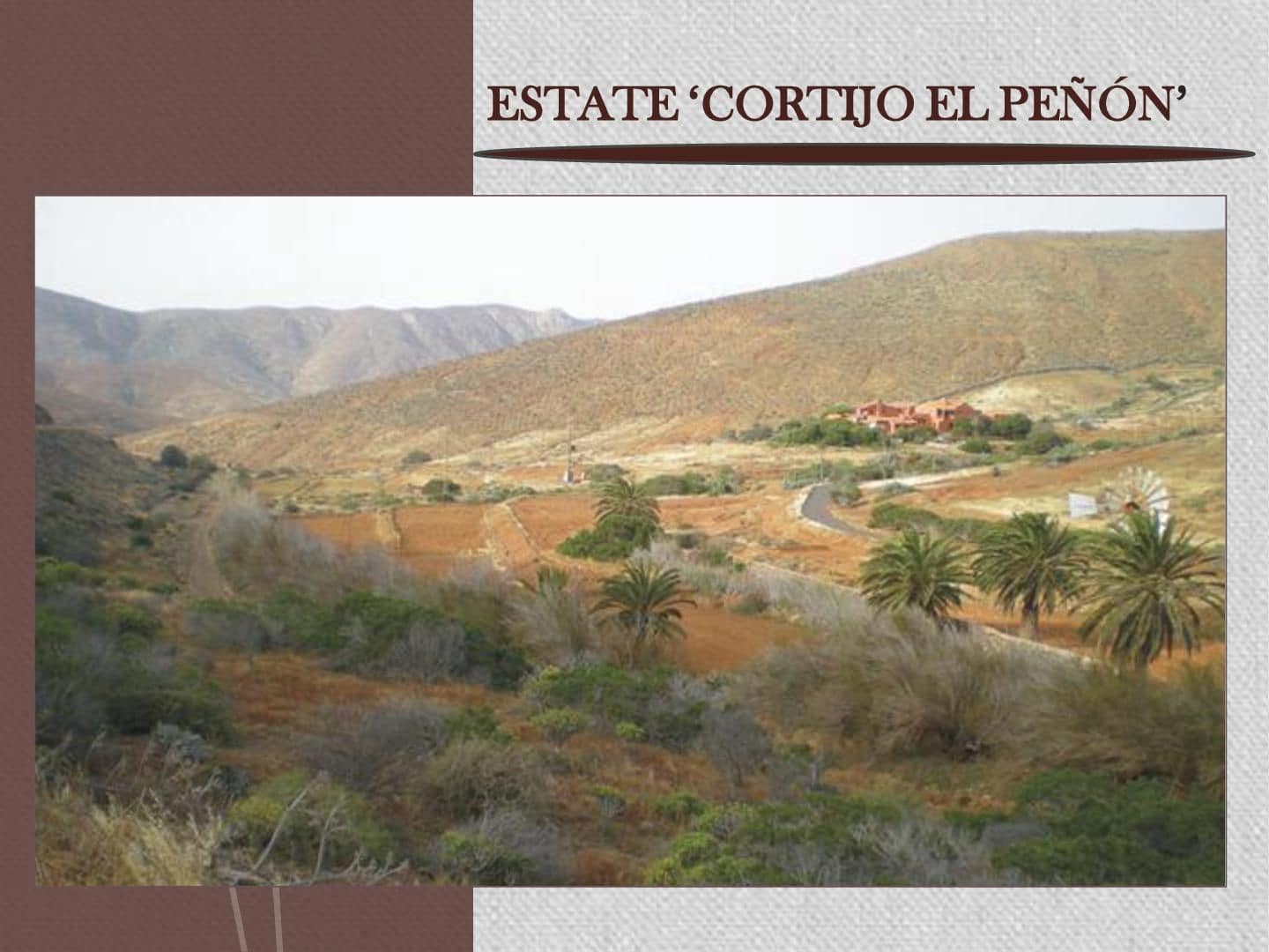 16 soveværelse Finca/Landehus til salg i Betancuria med swimmingpool garage - € 2.950.000 (Ref: 7203018)