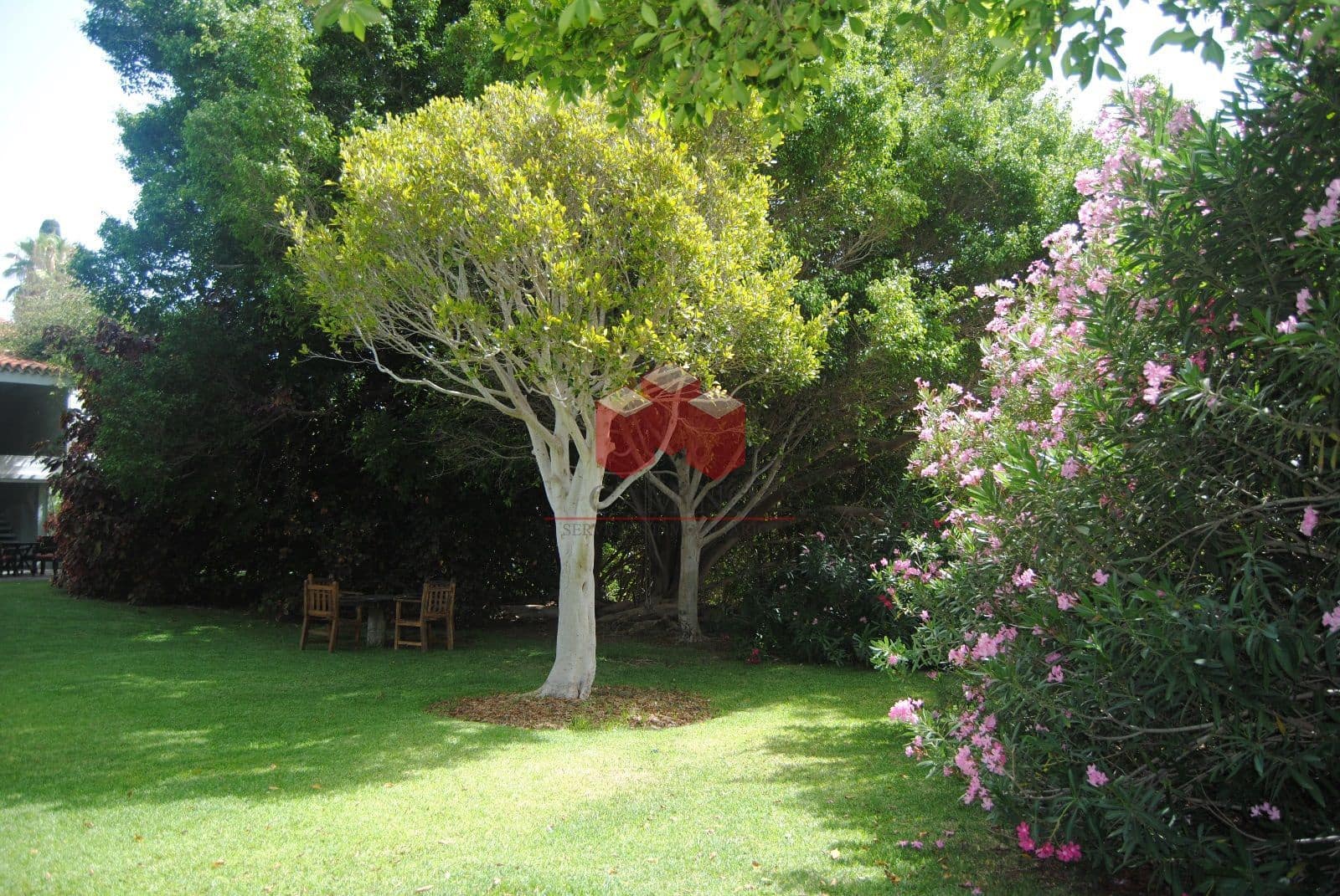 9 quarto Moradia para venda em Monte Leon com piscina - 8 500 000 € (Ref: 7575869)