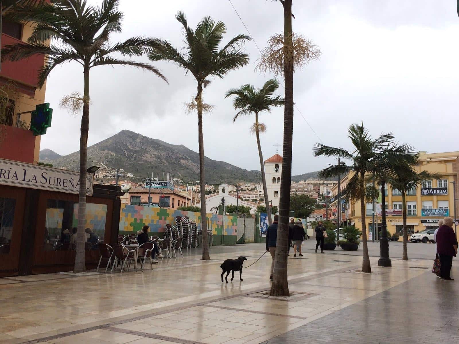 Kommersiell till salu i Benalmadena - 266 000 € (Ref: 9387828)