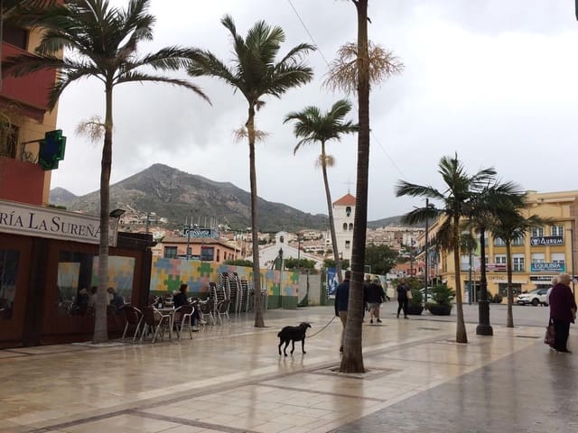 Kommersiell til salgs i Benalmádena - € 266 000 (Ref: 9387828)