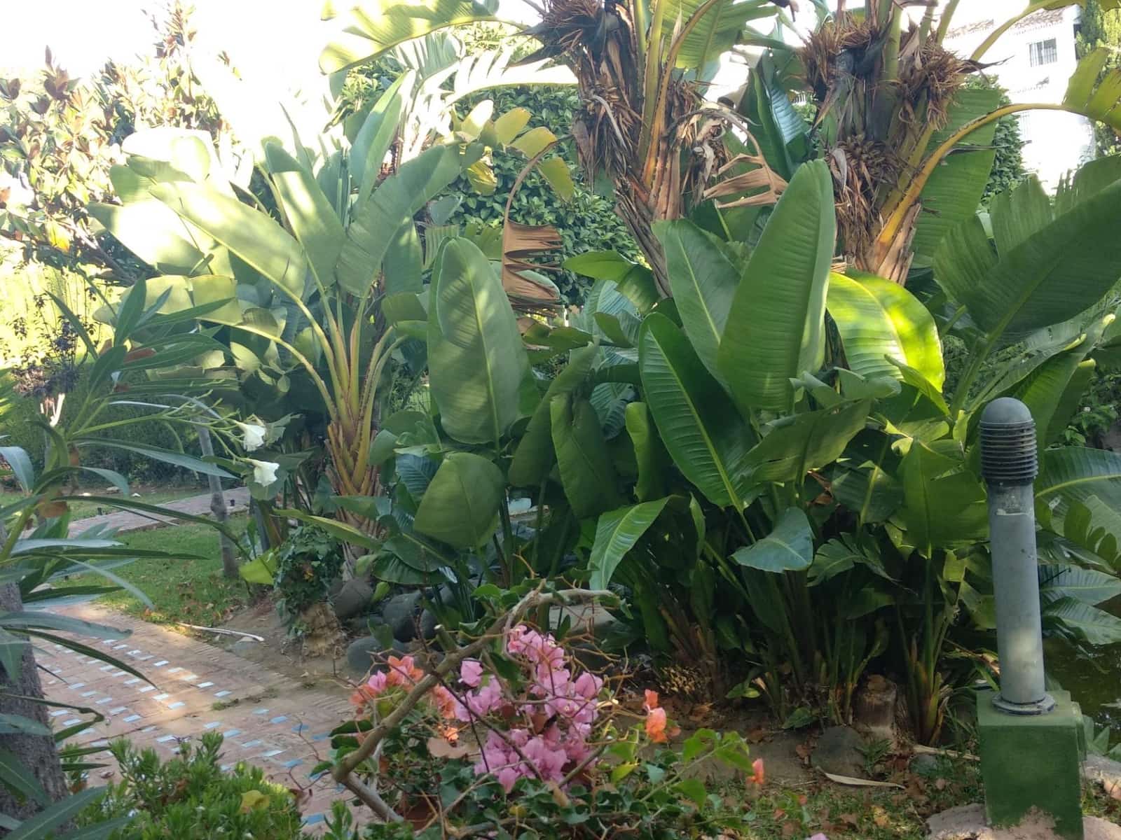 2 sovrum Radhus att hyra i Riviera del Sol med pool - 1 500 € (Ref: 9644954)