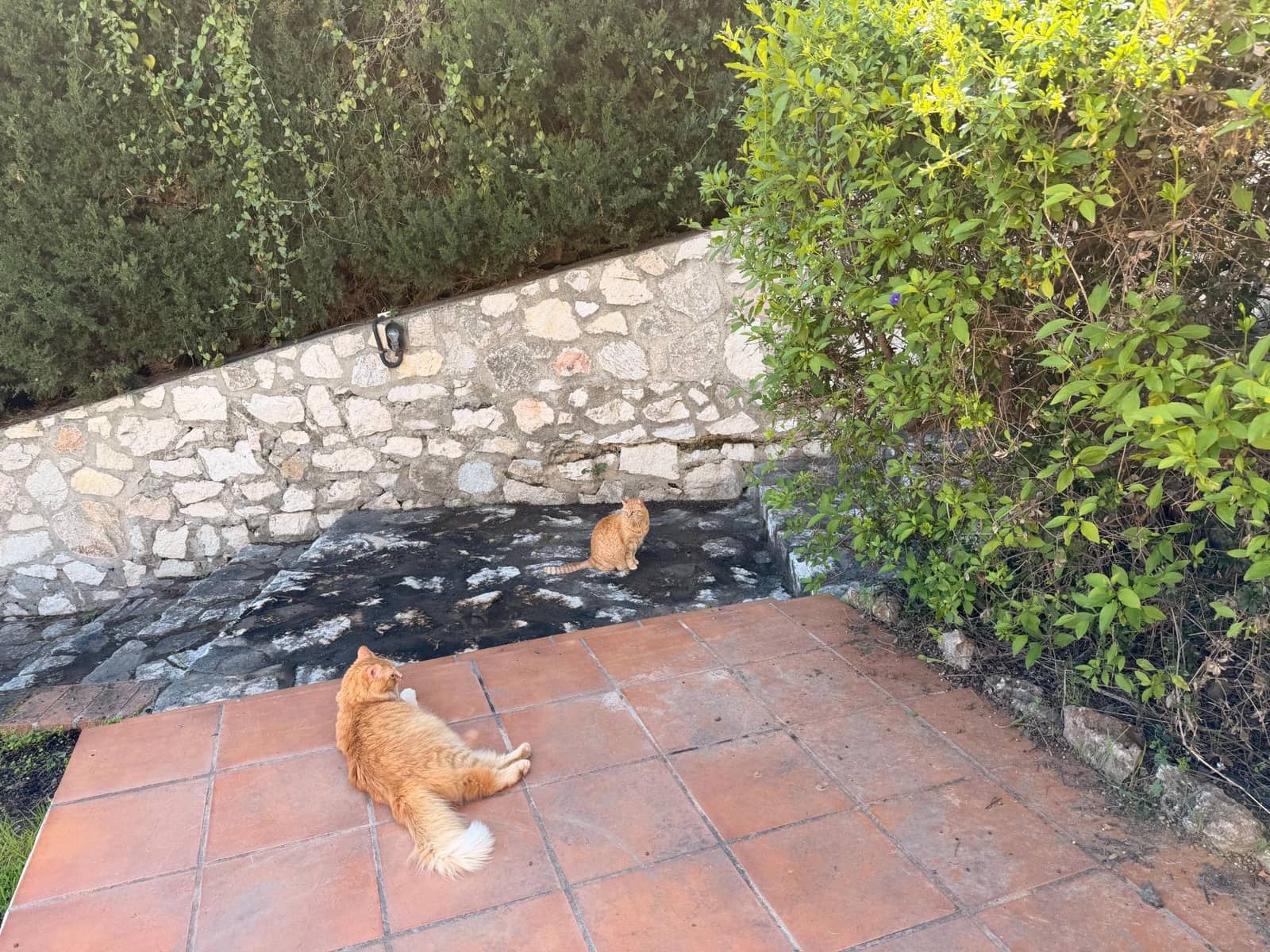 7 bedroom Villa for sale in Mijas with pool garage - € 1,550,000 (Ref: 9784059)