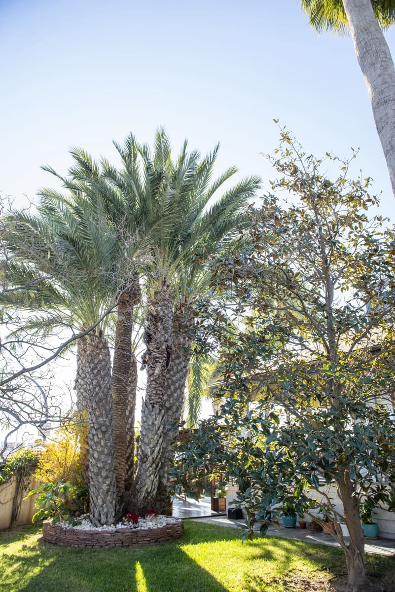 5 makuuhuone Huvila myytävänä paikassa San Pedro del Pinatar mukana uima-altaan 
autotalli - 1 299 000 € (Ref: 8826866)