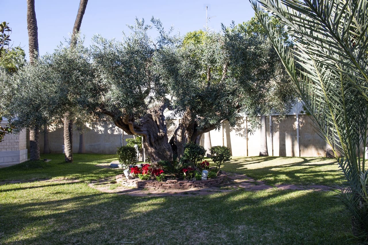 5 makuuhuone Huvila myytävänä paikassa San Pedro del Pinatar mukana uima-altaan 
autotalli - 1 299 000 € (Ref: 8826866)