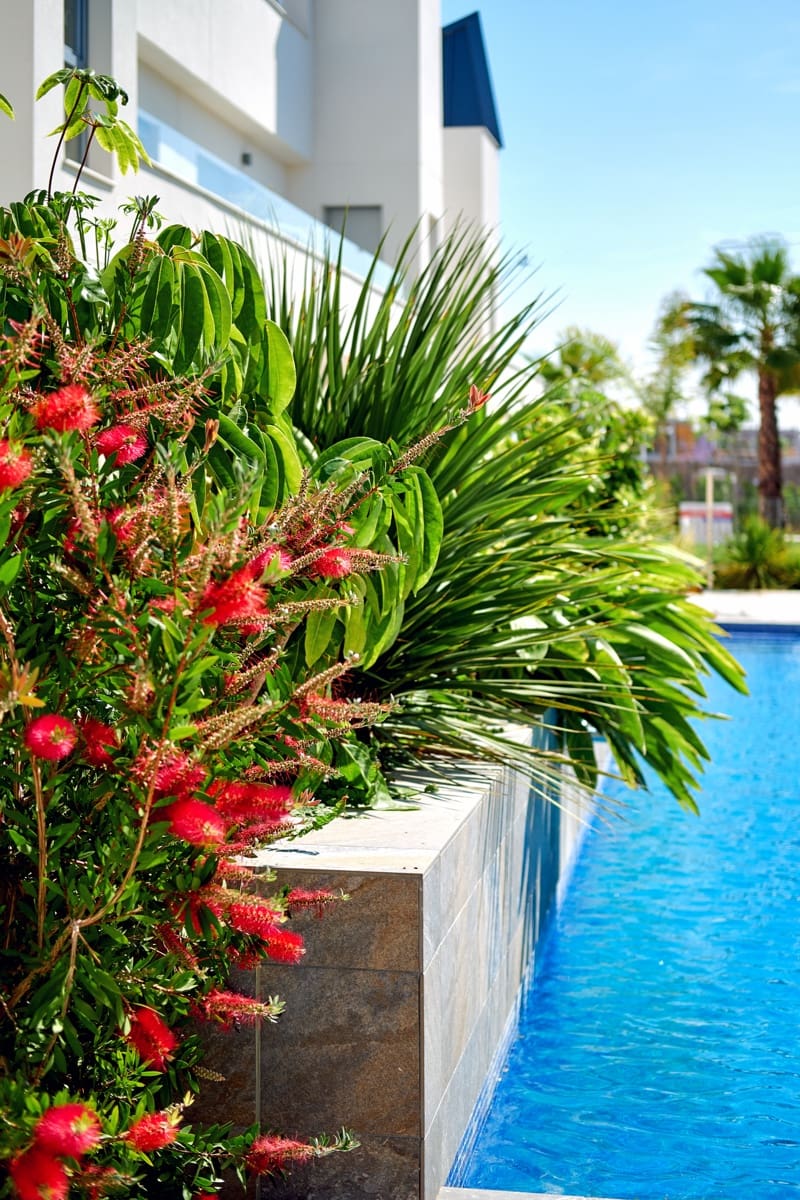 2 soveværelse Lejlighed til salg i Torrevieja med swimmingpool - € 253.000 (Ref: 9559789)