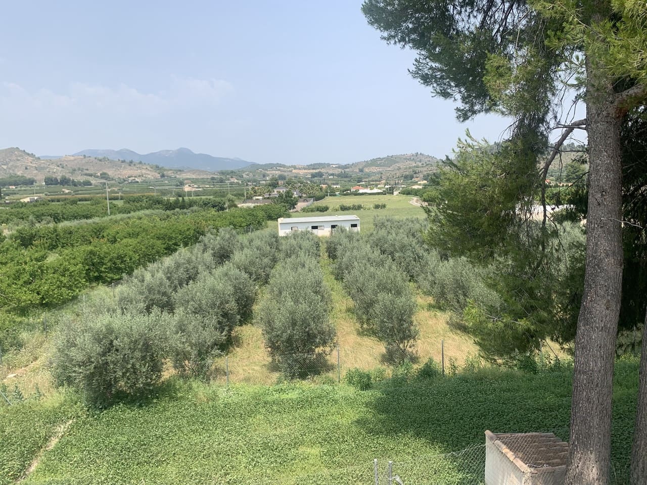 Chalet de 5 habitaciones en Cehegín en venta con piscina garaje - 450.000 € (Ref: 9624022)