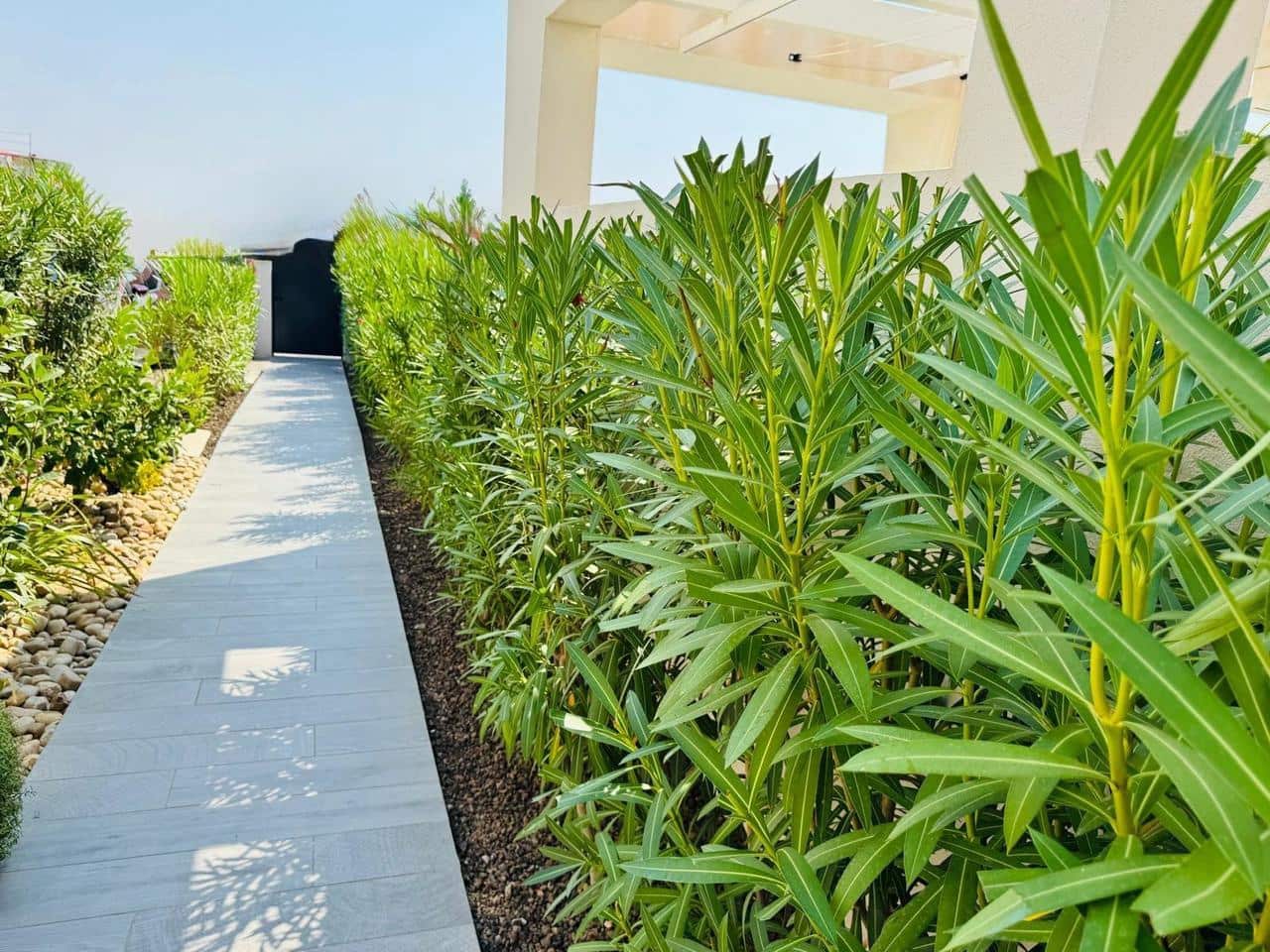 3 chambre Villa/Maison à vendre à Algorfa avec piscine garage - 650 000 € (Ref: 9626726)