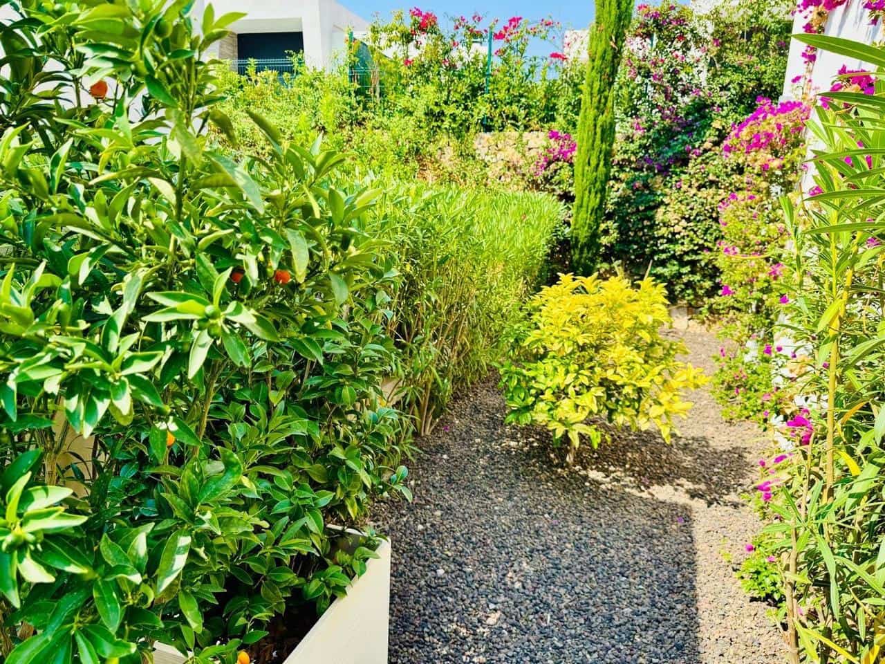 3 chambre Villa/Maison à vendre à Algorfa avec piscine garage - 650 000 € (Ref: 9626726)