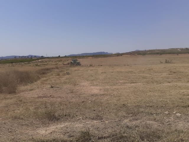 Grond te koop in Pinoso - € 58.990 (Ref: 9065880)