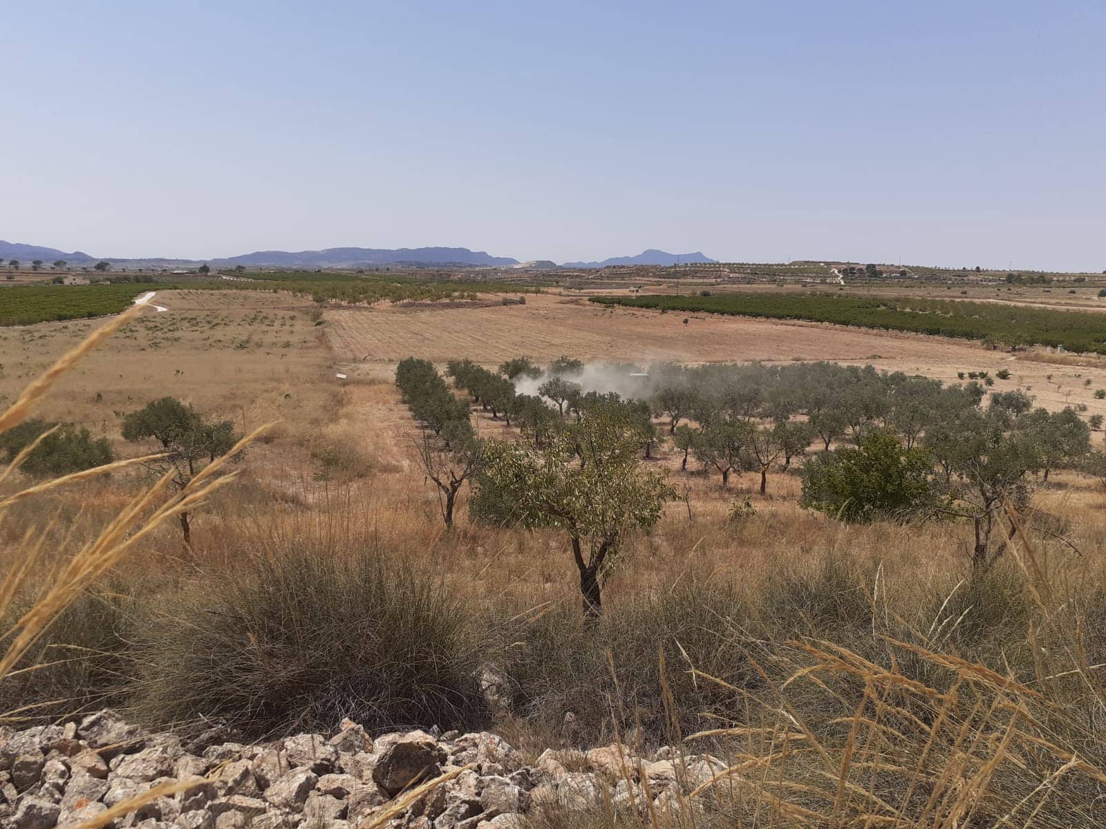 Grond te koop in Pinoso - € 58.990 (Ref: 9065880)