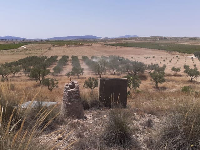 Grond te koop in Pinoso - € 58.990 (Ref: 9065880)