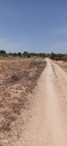 Undeveloped Land for sale in Pinoso - € 49,950 (Ref: 9306734)