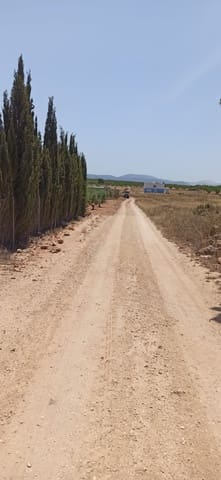 Undeveloped Land for sale in Pinoso - € 49,950 (Ref: 9306734)