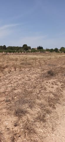 Undeveloped Land for sale in Pinoso - € 49,950 (Ref: 9306734)