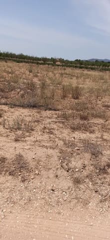 Undeveloped Land for sale in Pinoso - € 49,950 (Ref: 9306734)