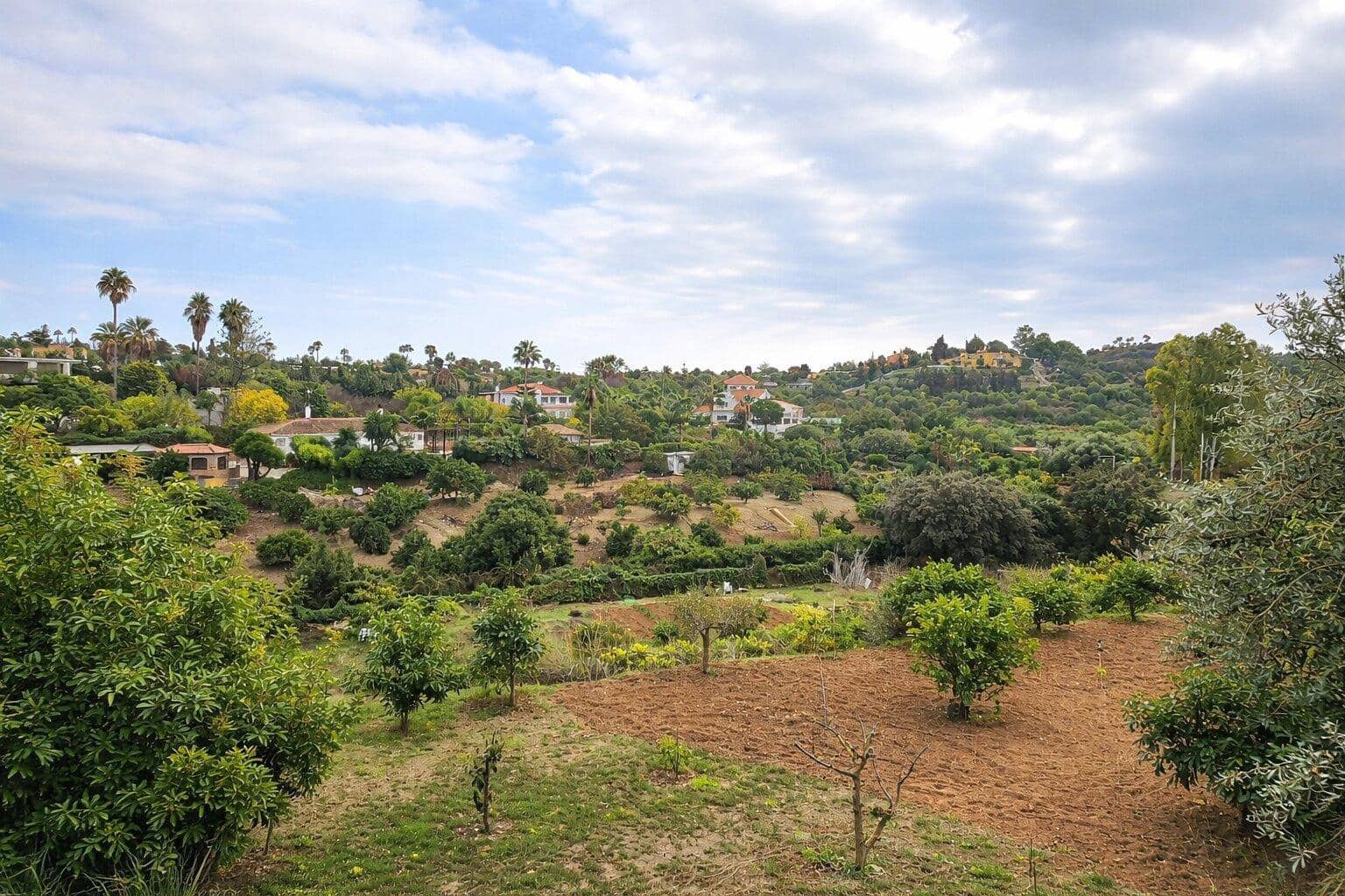 2 slaapkamer Finca/Landhuis te koop in El Padron met zwembad - € 367.500 (Ref: 9732136)