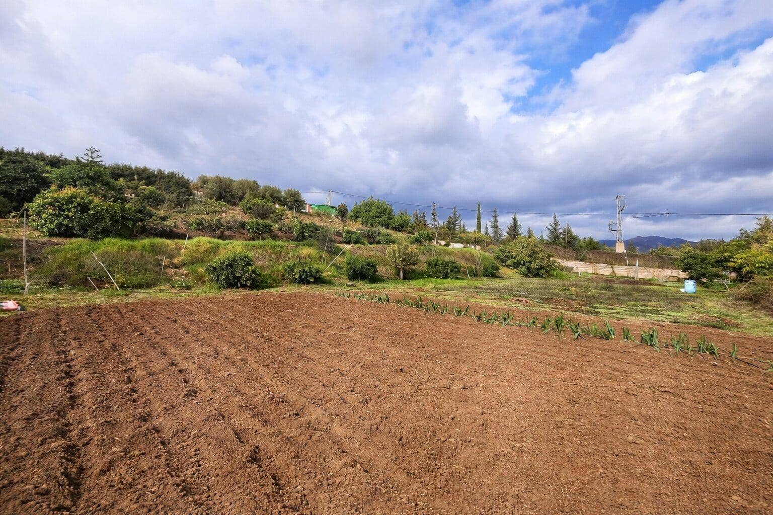 2 slaapkamer Finca/Landhuis te koop in El Padron met zwembad - € 367.500 (Ref: 9732136)