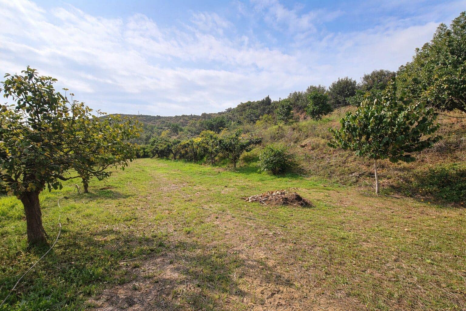 2 slaapkamer Finca/Landhuis te koop in El Padron met zwembad - € 367.500 (Ref: 9732136)