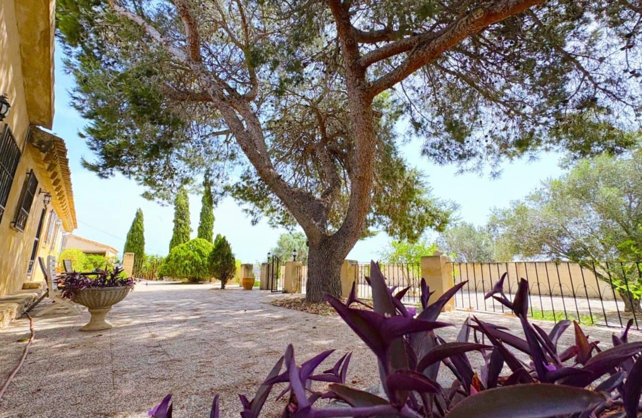 3 quarto Moradia para venda em Algorfa com piscina - 420 000 € (Ref: 10134897)