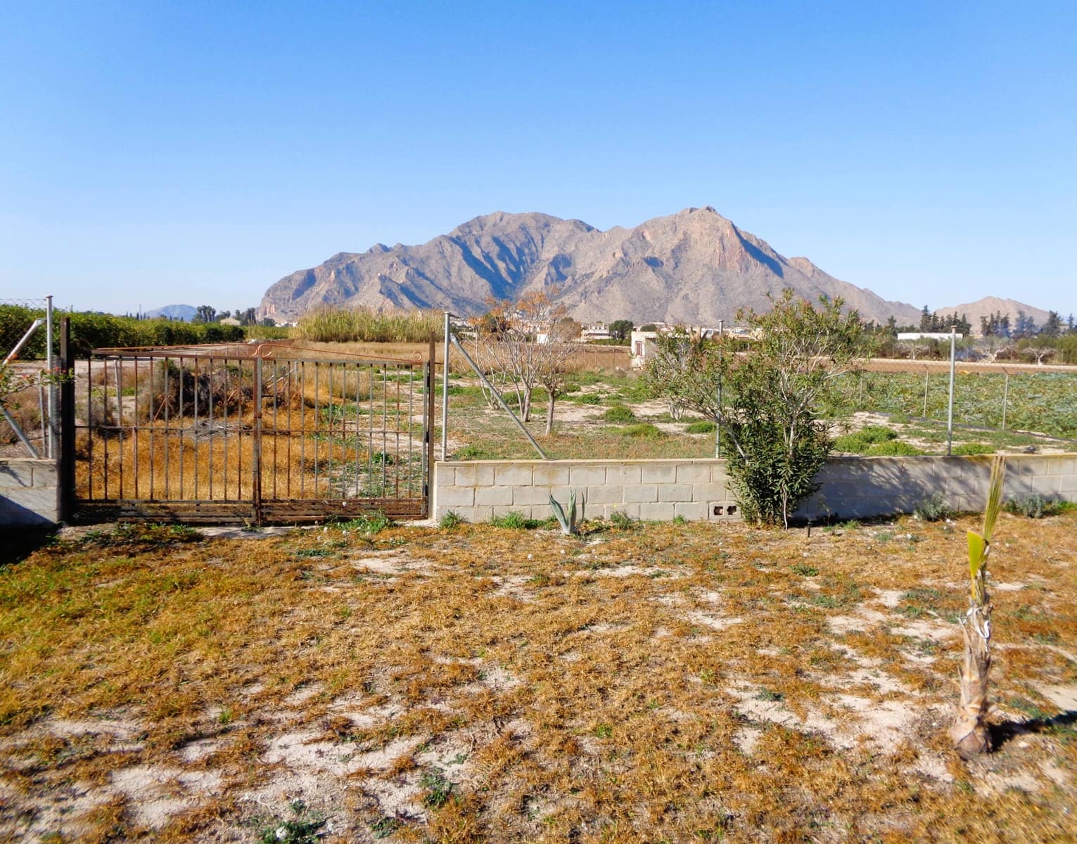 4 soveværelse Finca/Landehus til salg i Callosa de Segura med swimmingpool garage - € 319.000 (Ref: 8788139)