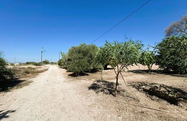 Chalet de 3 habitaciones en La Hoya, Elche / Elx en venta con piscina - 279.900 € (Ref: 9731337)