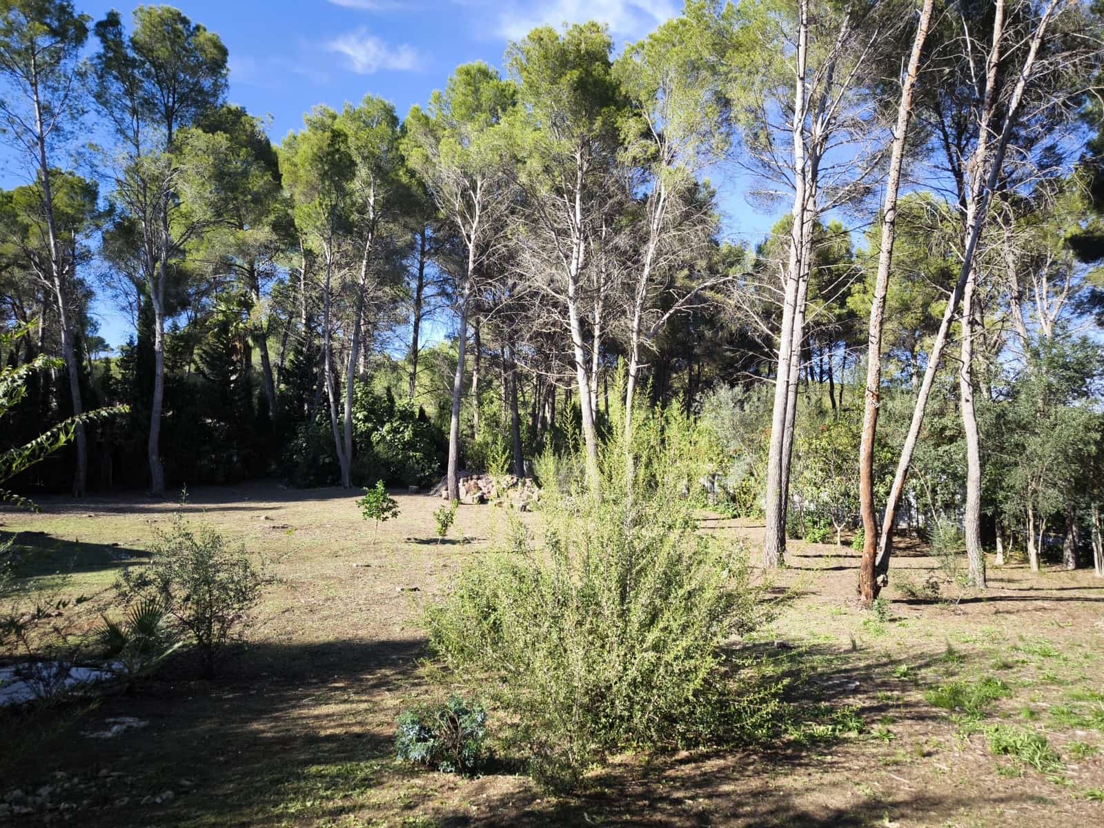 3 quarto Moradia para venda em Macastre com piscina garagem - 249 950 € (Ref: 10179883)