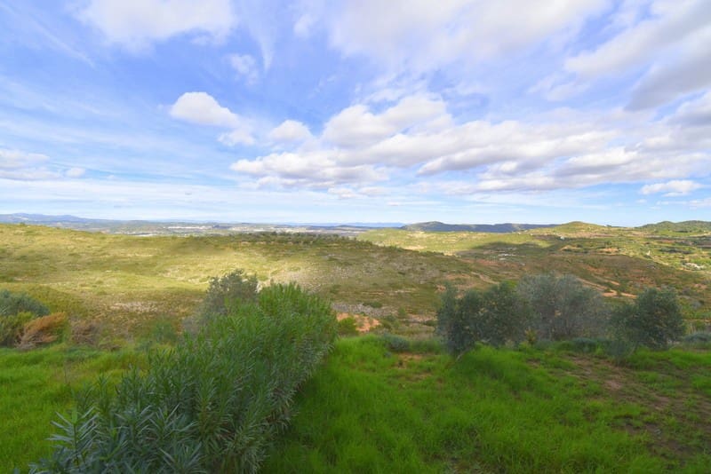 3 soveværelse Villa til salg i Turis med swimmingpool - € 176.000 (Ref: 7257588)