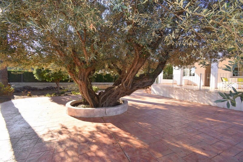 3 soveværelse Villa til salg i Turis med swimmingpool - € 255.000 (Ref: 7329890)