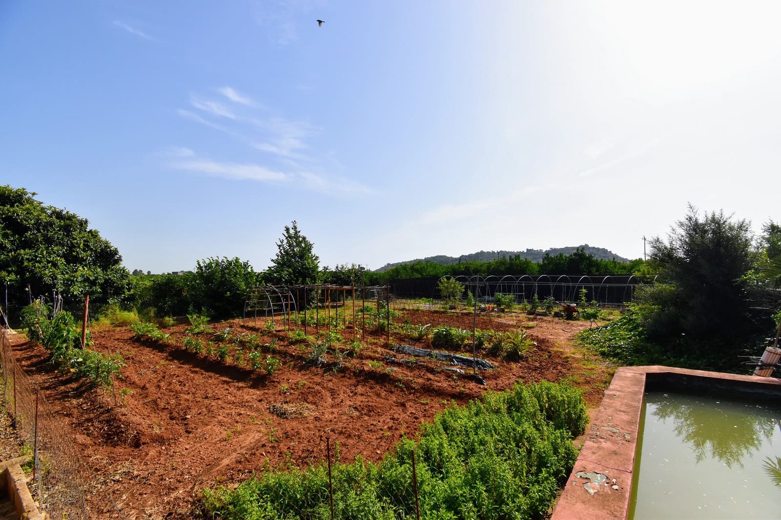 5 soveværelse Villa til salg i Alzira med swimmingpool - € 400.000 (Ref: 7652780)