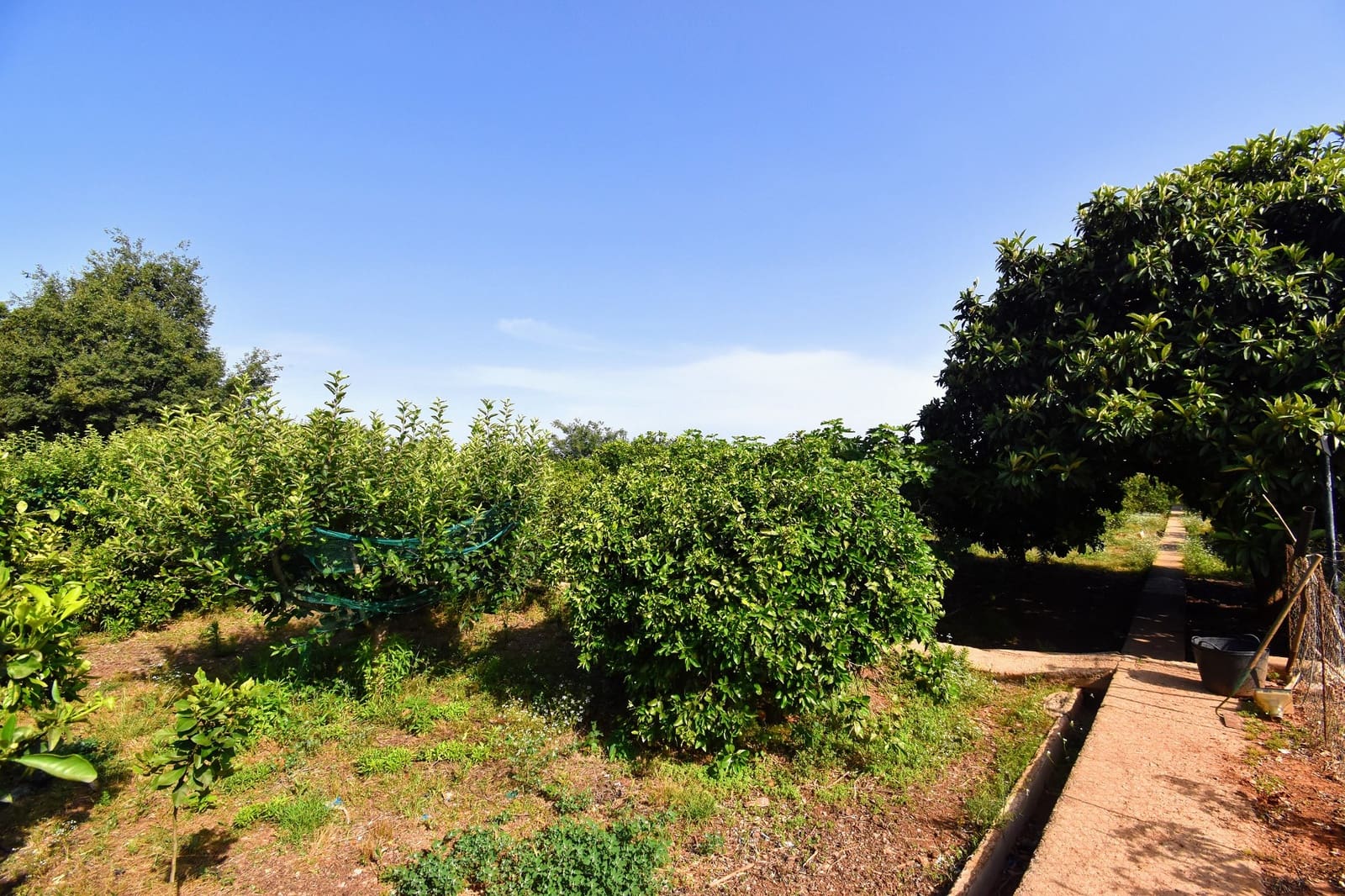 5 soveværelse Villa til salg i Alzira med swimmingpool - € 400.000 (Ref: 7652780)