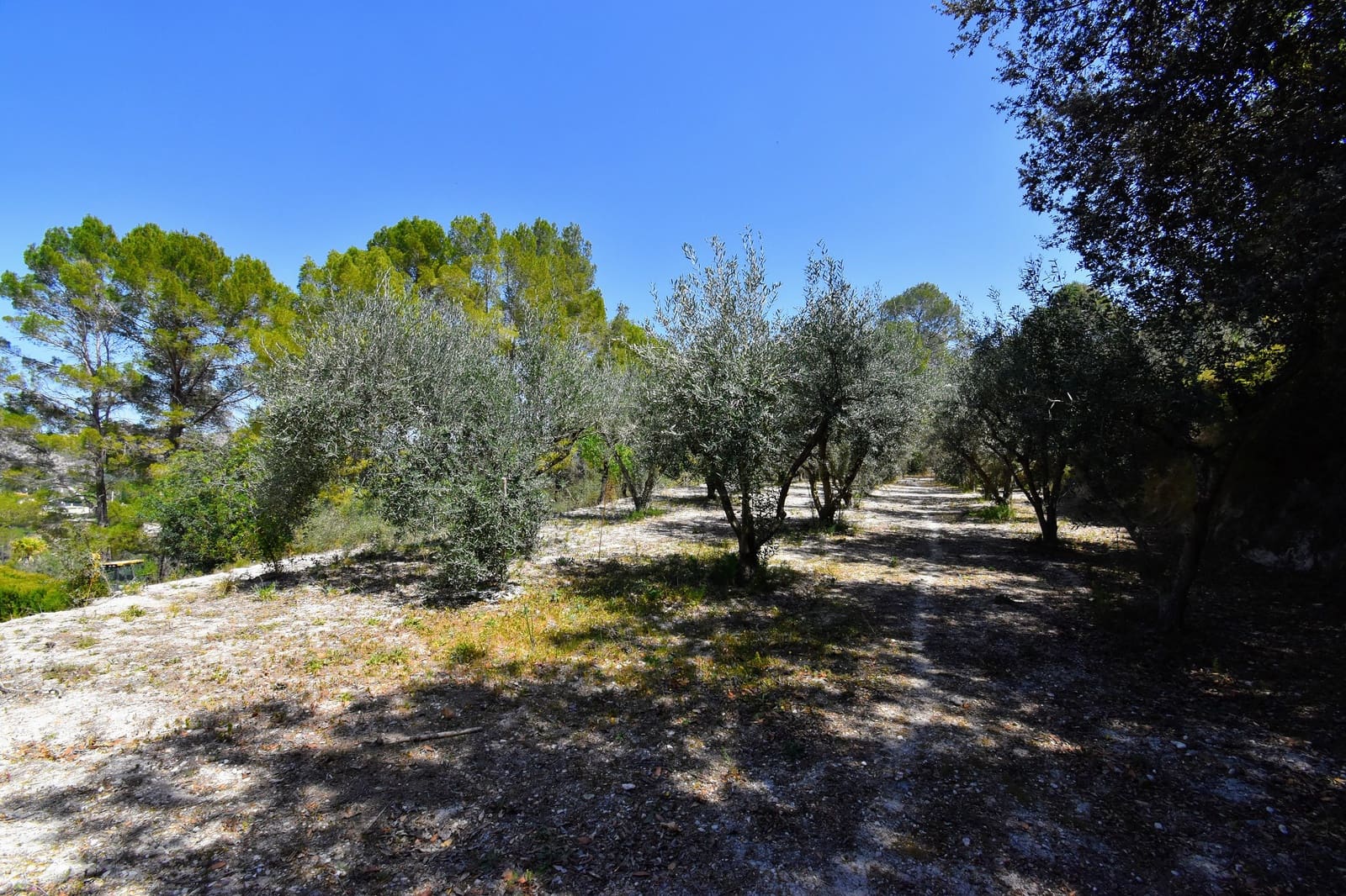 3 soverom Villa til salgs i Xativa med svømmebasseng - € 239 000 (Ref: 8219957)