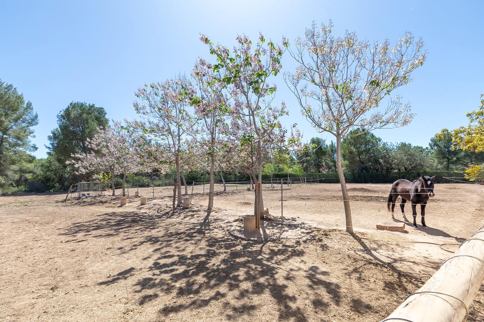 5 soveværelse Villa til salg i Torrent - € 800.000 (Ref: 8227228)